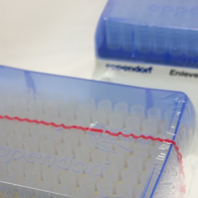 Tips 500-2500 μl pyrogen free 2