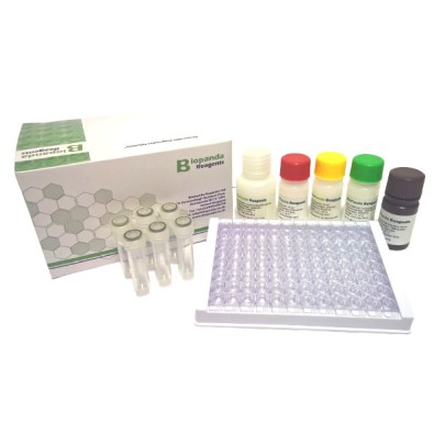 Bacitracine ELISA Kit