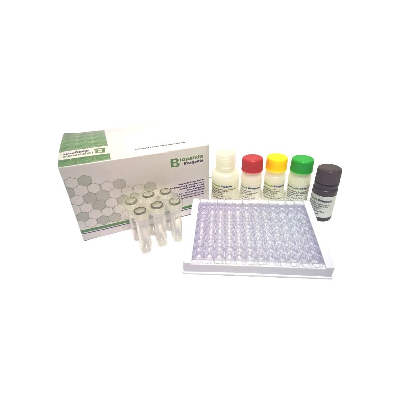 Quinolones 2 steps ELISA Kit