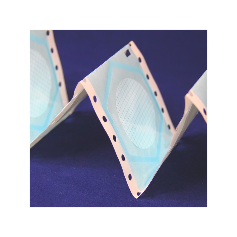 Membrana MCE bianca reticolata sterile per dispenser, pori 0,22 µm, diametro 47 mm.