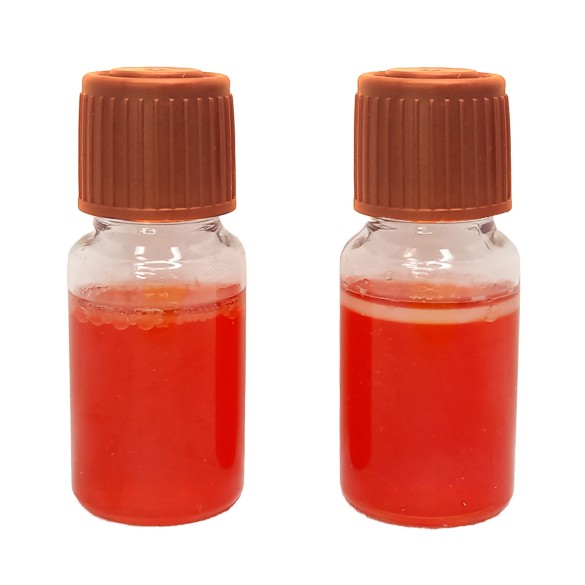 MBS Easy Test - Enterobacteriaceae