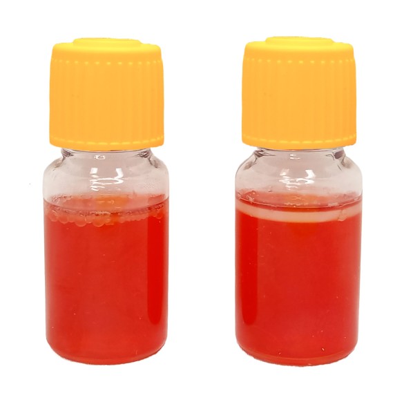 MBS Easy Test - Salmonella spp.