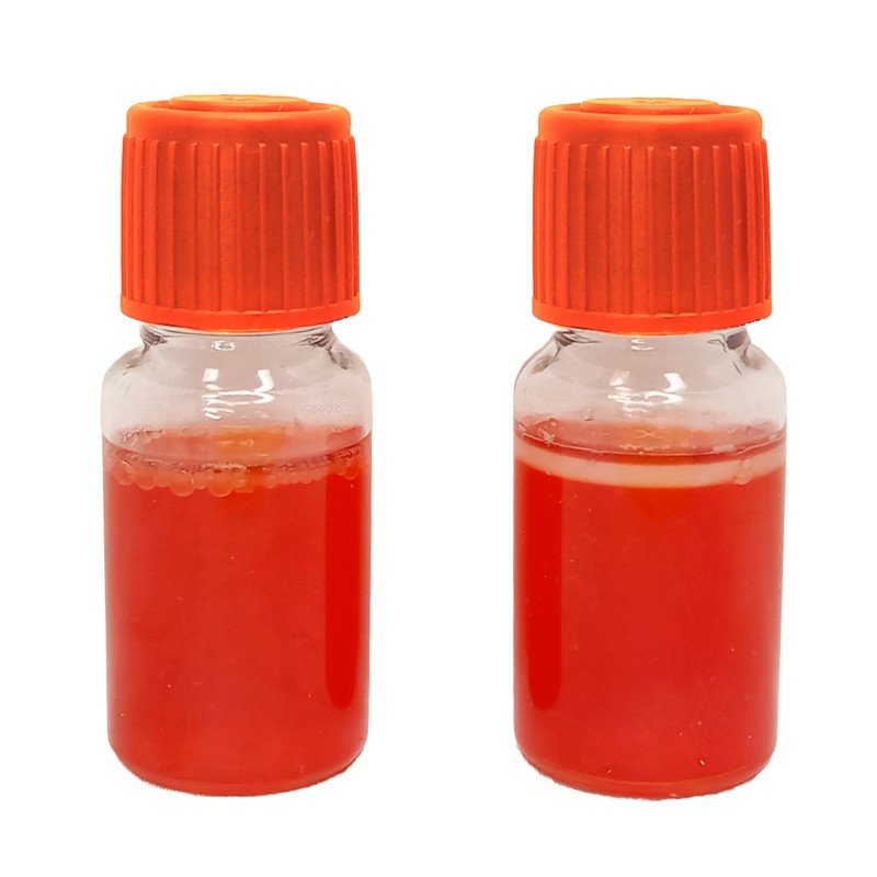 MBS Easy Test - Escherichia coli