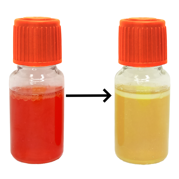 MBS Easy Test - Escherichia coli