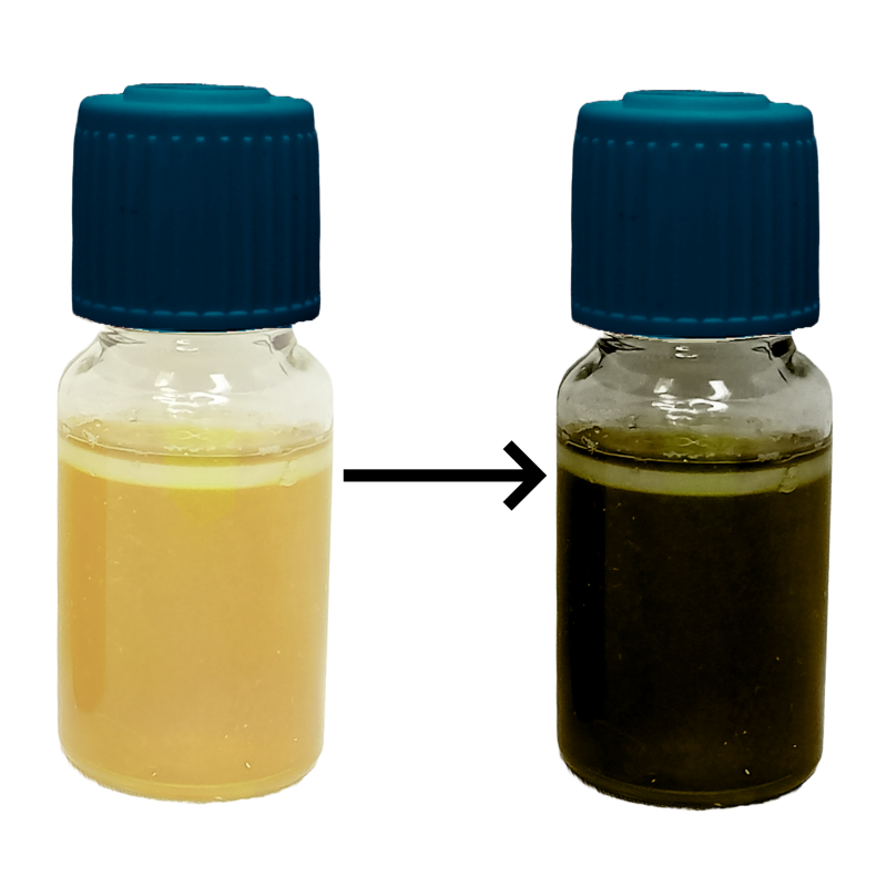 MBS Easy Test - Enterococcus faecalis