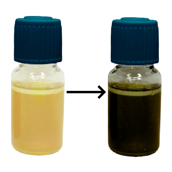 MBS Easy Test - Enterococcus faecalis