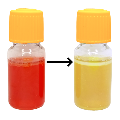 MBS Easy Test - Salmonella spp.