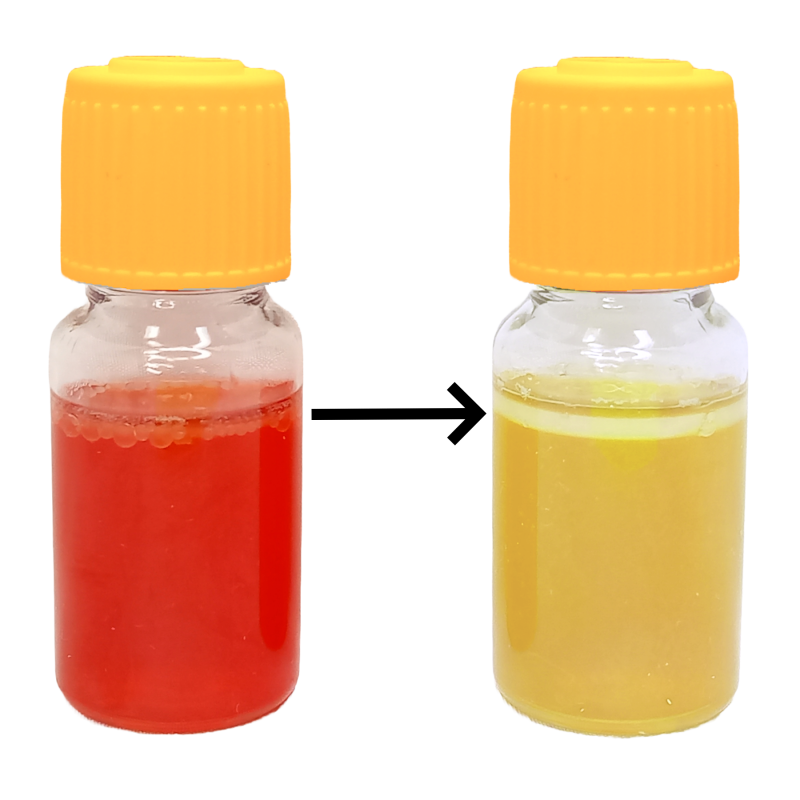 MBS Easy Test - Salmonella spp.