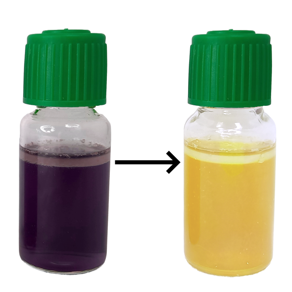 MBS Easy Test - Pseudomonas aeruginosa