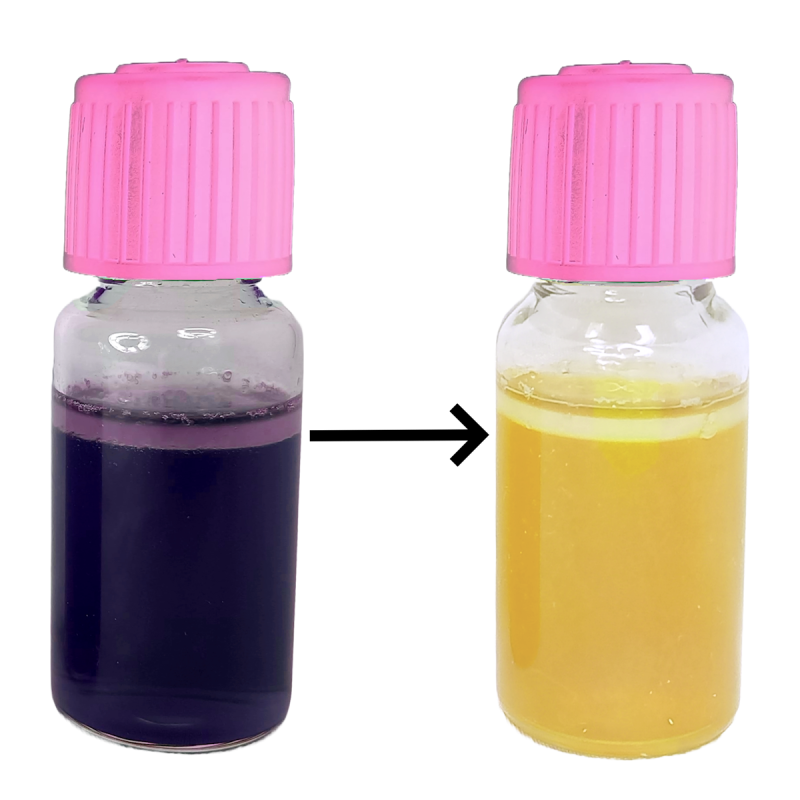 MBS Easy Test - Staphylococcus aureus