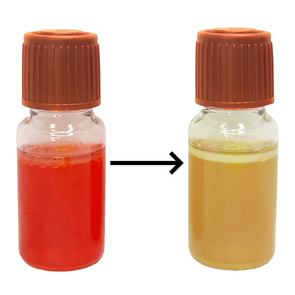 MBS Easy Test - Enterobacteriaceae