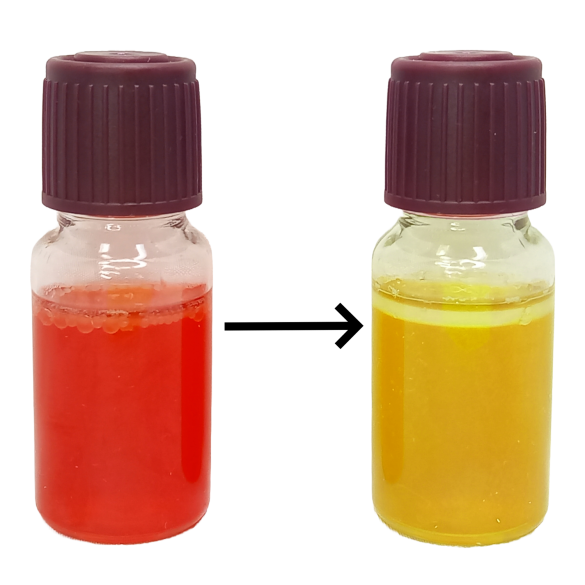 MBS Easy Test - Coliformi totali