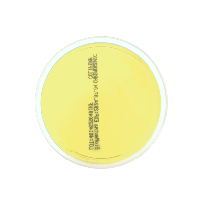 Bile Esculin Azide Agar ISO (60 mm)