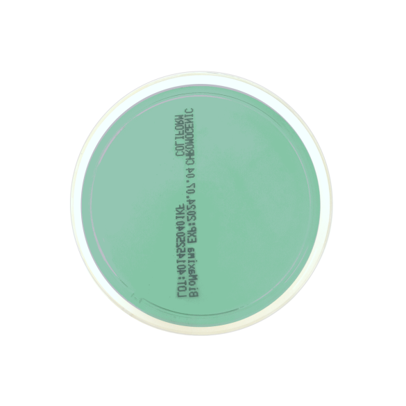 WL Nutrient Medium OIV (60 mm)