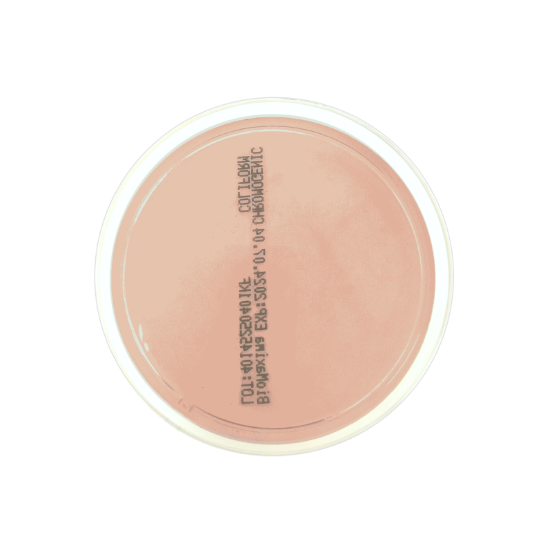m-Enterococcus Agar (Slanetz-Bartley) ISO (60 mm)