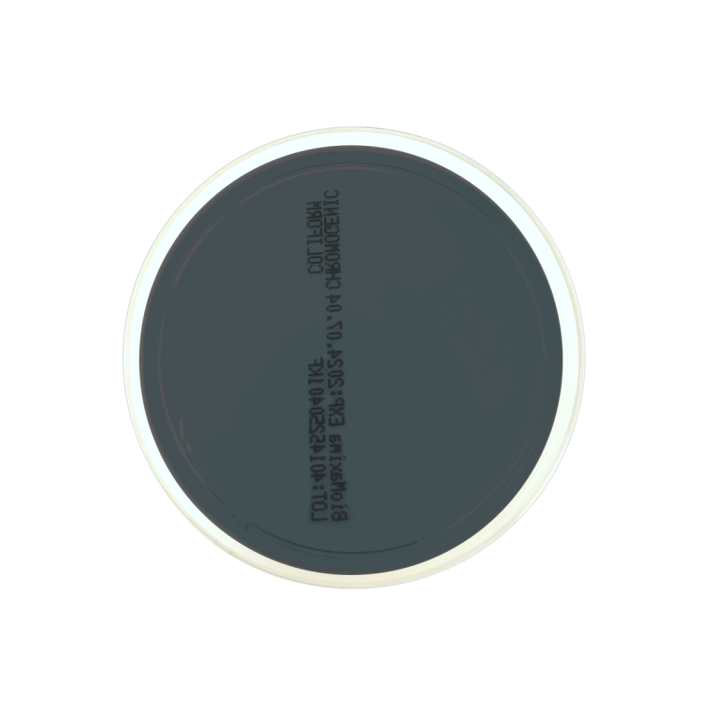 Legionella BCYE w/o Cys Agar ISO (60 mm)