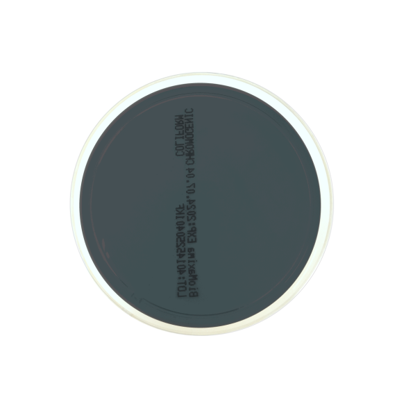 Legionella BCYE w/o Cys Agar ISO (60 mm)