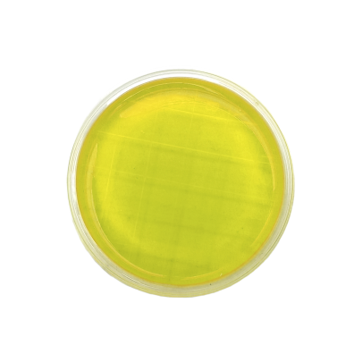 Bacillus cereus PEMBA Agar ISO (contact)