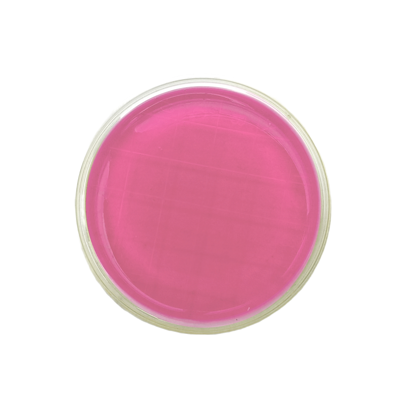 Rosa Bengala Agar ISTISAN (contact)