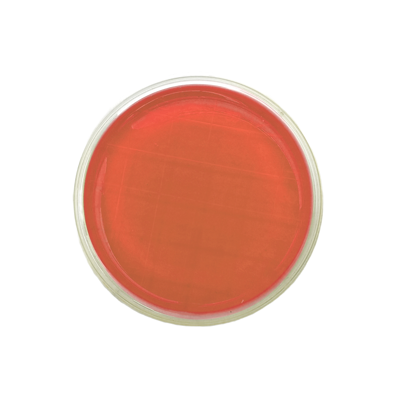 Brilliant Green Agar (BGA) EP ISO (contact)