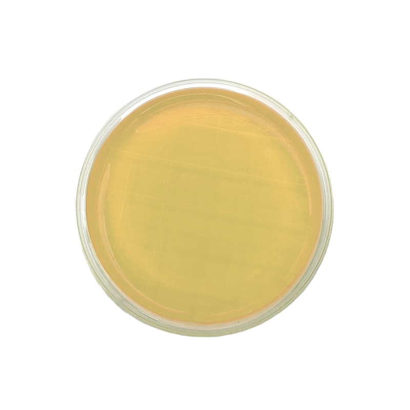 TSA EP USP ISO + Penase + 2 Neutralizers (contact)