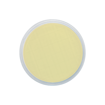 PCA (Plate Count Agar) APHA ISO + 2 neutralizers (air sampler)