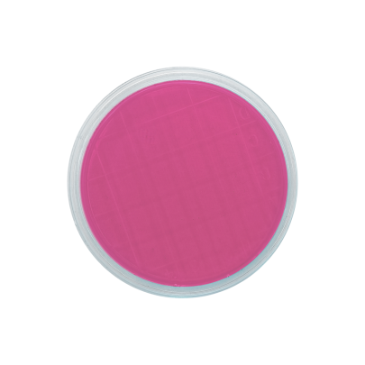 Rosa Bengala Agar + Dichloran + CAF (DRBC) ISO (air sampler)