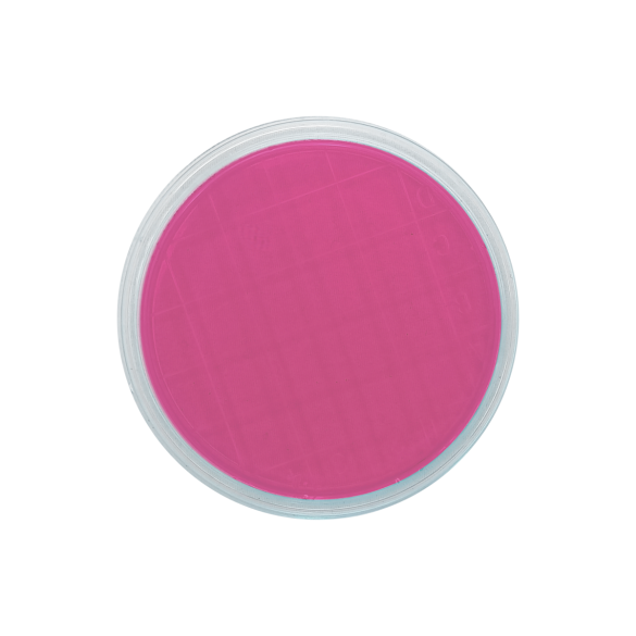 Rosa Bengala Agar + Dichloran + CAF (DRBC) ISO (air sampler)