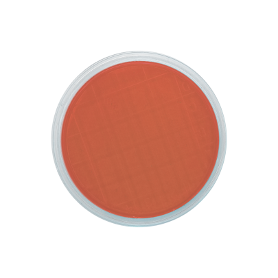 Columbia CNA Agar with 5% sheep blood (air sampler)