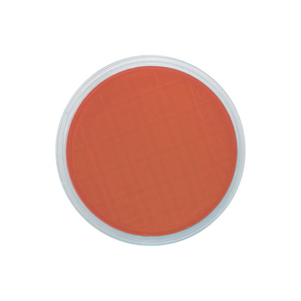 Columbia CNA Agar con 5% sangue montone (air sampler)