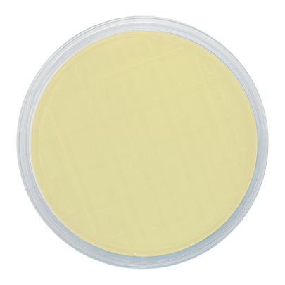 Nutrient Agar ISO (air sampler 90 mm)