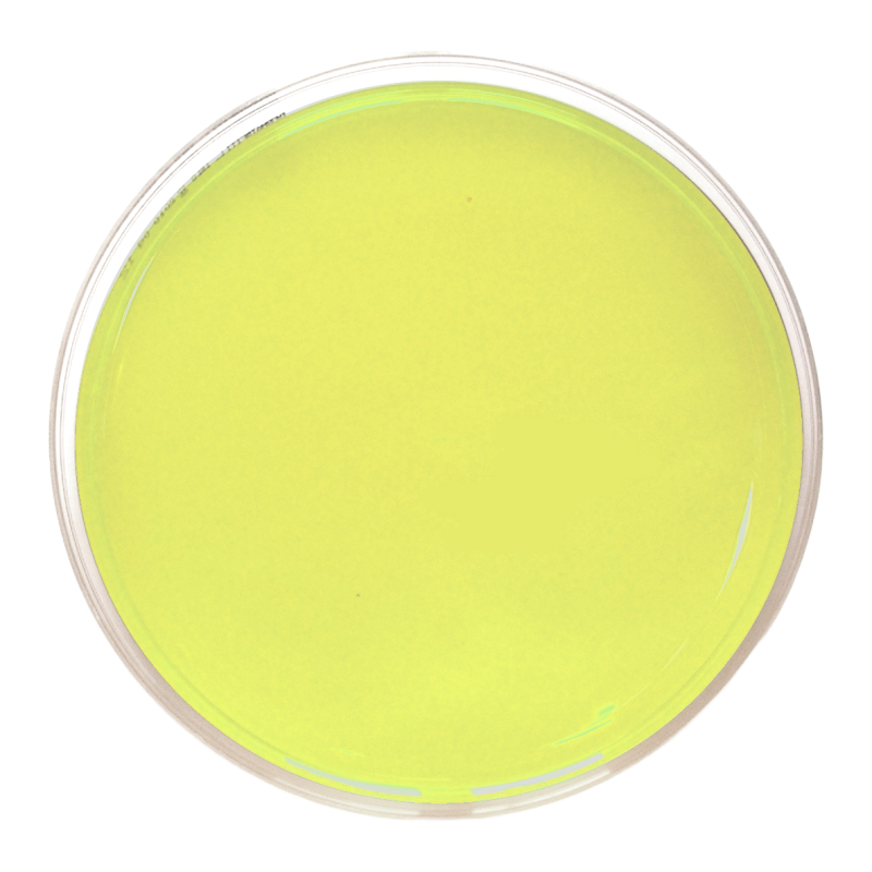 Bacillus cereus PEMBA Agar ISO (90 mm)