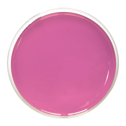 Rosa Bengala Agar + Dichloran + CAF (DRBC) ISO (90 mm)