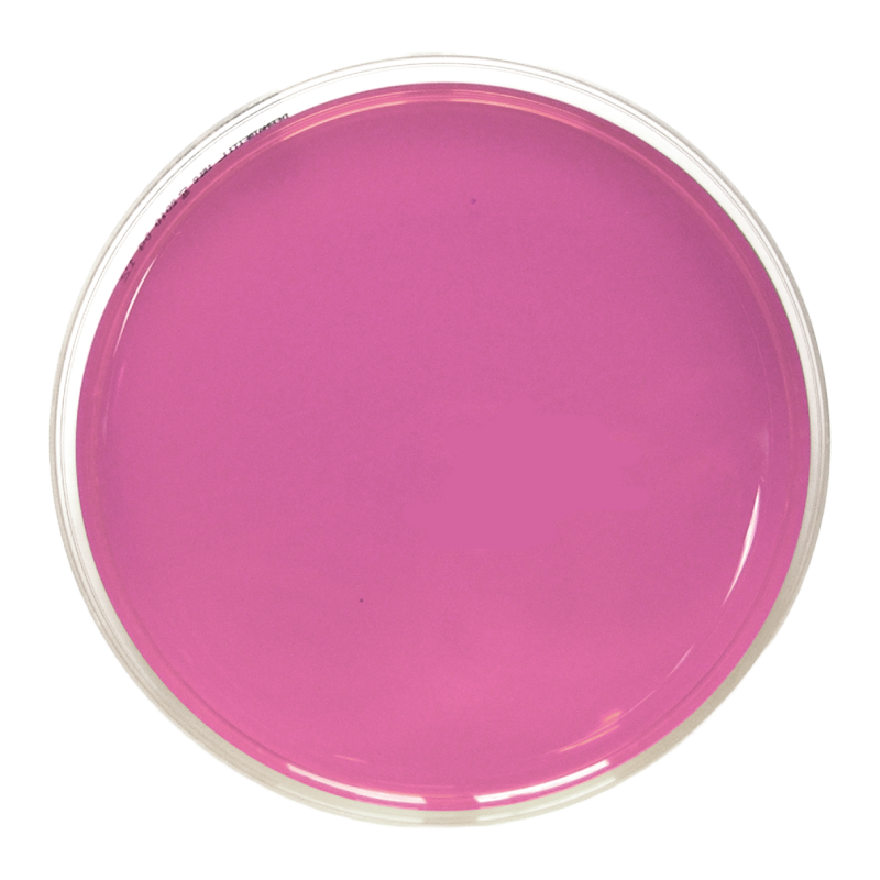 Rosa Bengala Agar + Dichloran + CAF (DRBC) ISO (90 mm)