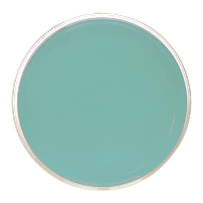 TCBS Cholera Agar ISO (90 mm)