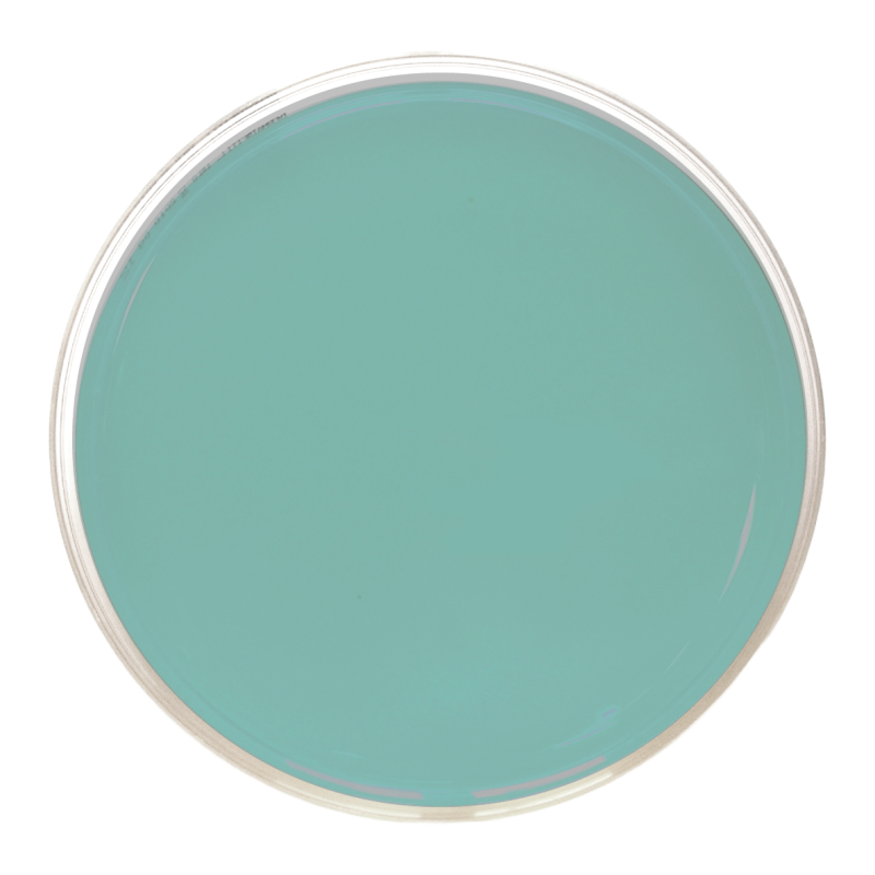 TCBS Cholera Agar ISO (90 mm)