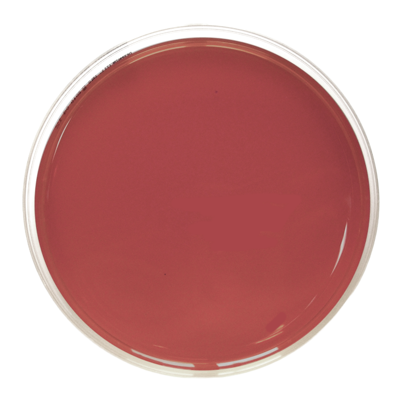 EMB (Eosin Methylen Blue) Levine Agar USP ISO (90 mm)