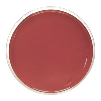 EMB (Eosin Methylen Blue) Agar APHA (90 mm)