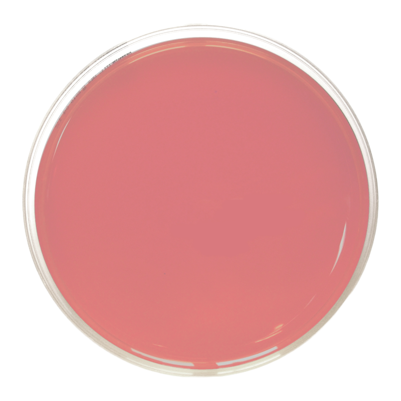 m-FC (Fecal Coliforms) Agar IRSA (90 mm)