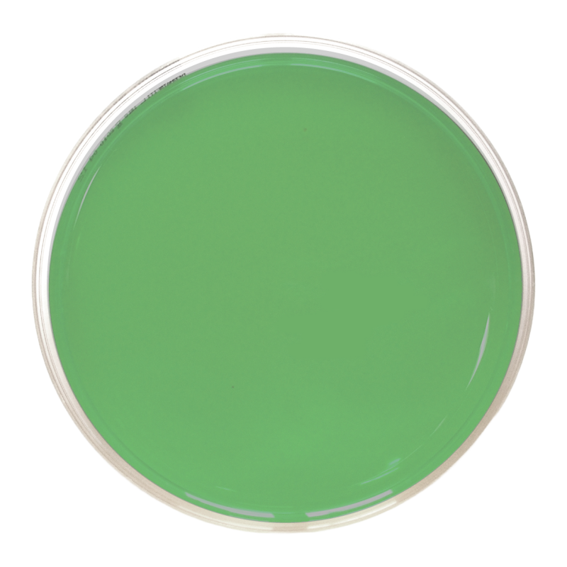 MYGP Copper Agar (90 mm)