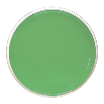 Tergitol TTC Agar ISO (90 mm)