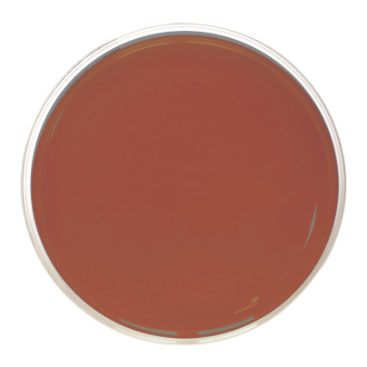 Campylobacter Preston Agar ISO (90 mm)