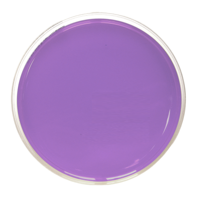 SMSA Agar (90 mm)