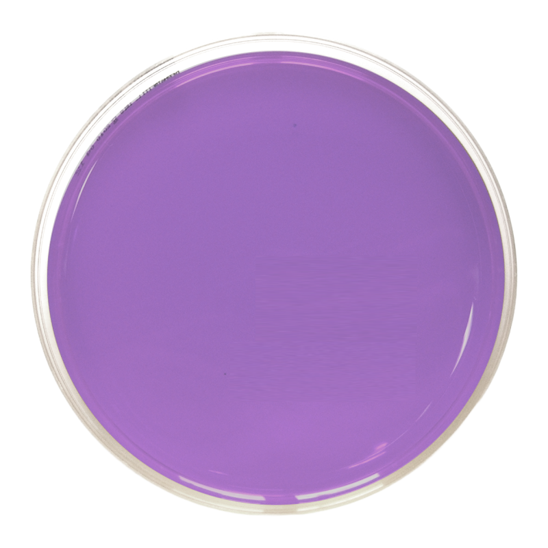 SMSA Agar (90 mm)