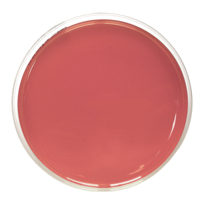 Columbia Agar with 5% horse blood (90 mm)