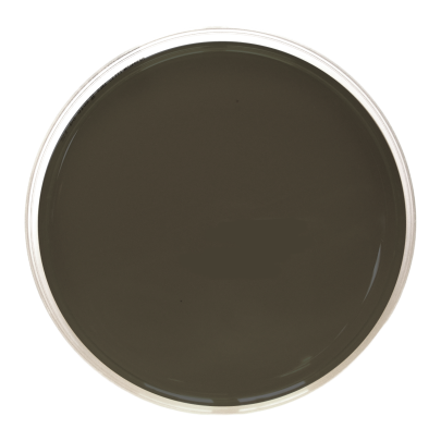 Campylobacter Blood Free (CCD Bolton) Agar (90 mm)
