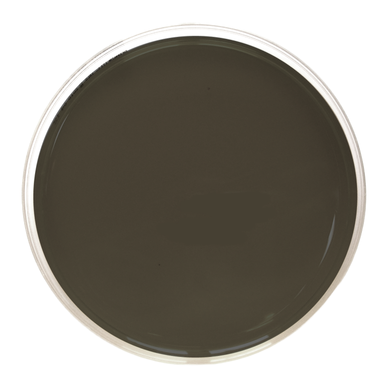 Campylobacter MCCD Agar ISO (90 mm)