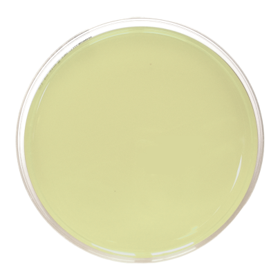 SDA EP USP ISO + CAF 50 (90 mm 30 ml)