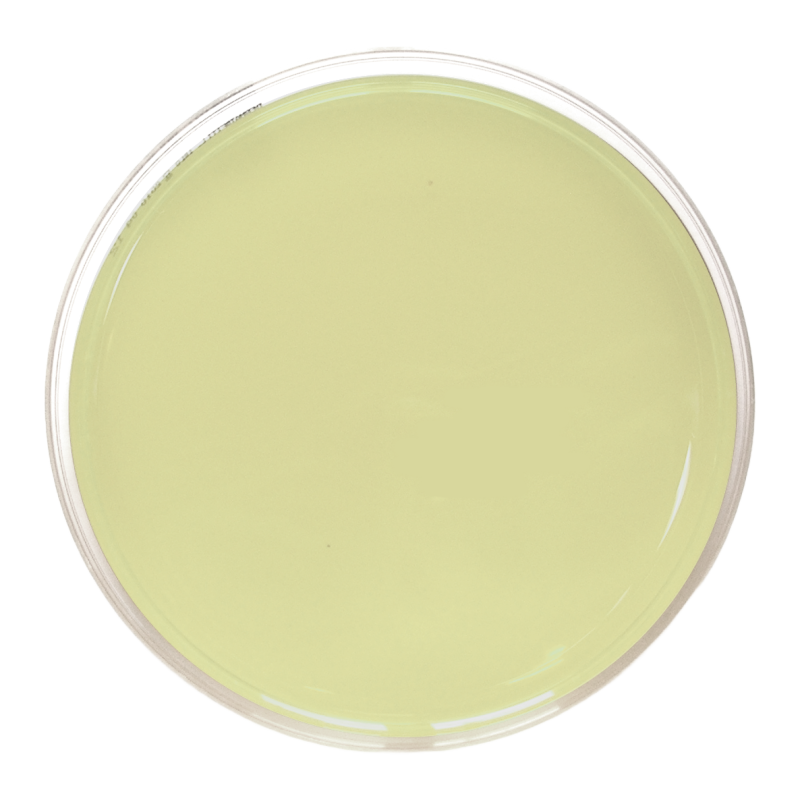 Chromogenic Coliform Agar (CCA) ISO (90 mm)