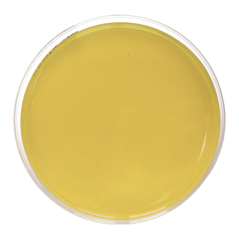 Dermatofiti Agar (90 mm)